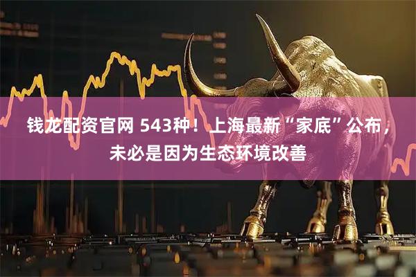 钱龙配资官网 543种！上海最新“家底”公布，未必是因为生态环境改善